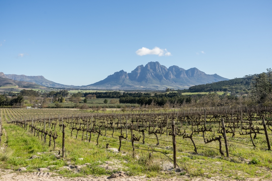 7 Bedroom Property for Sale in Franschhoek Rural Western Cape
